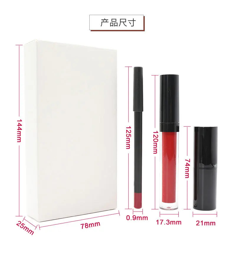 lip kit 10 colors high pigment long lasting lip gloss lipliner lip stick set