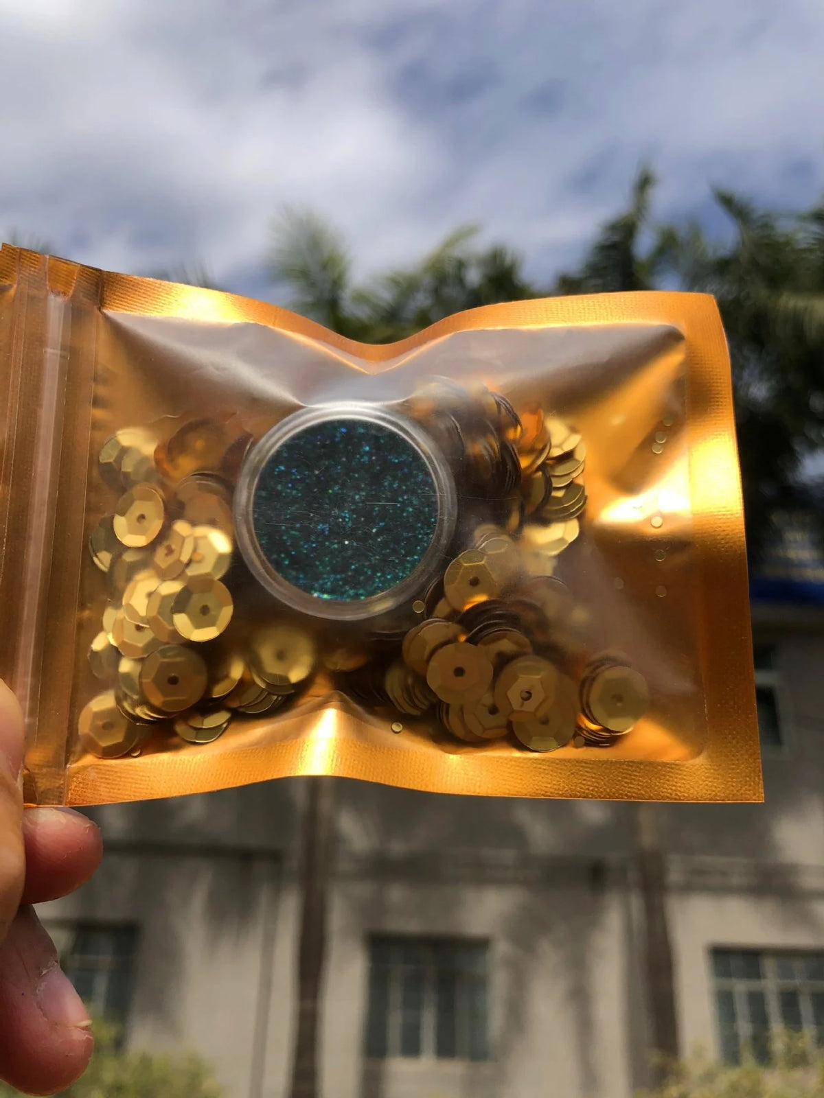 Chameleon loose eyeshadow