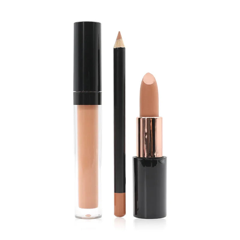 lip kit 10 colors high pigment long lasting lip gloss lipliner lip stick set