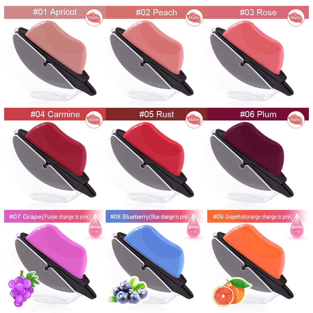 high quality professional matte lipstick long-lasting waterproof lip gloss with high pigment