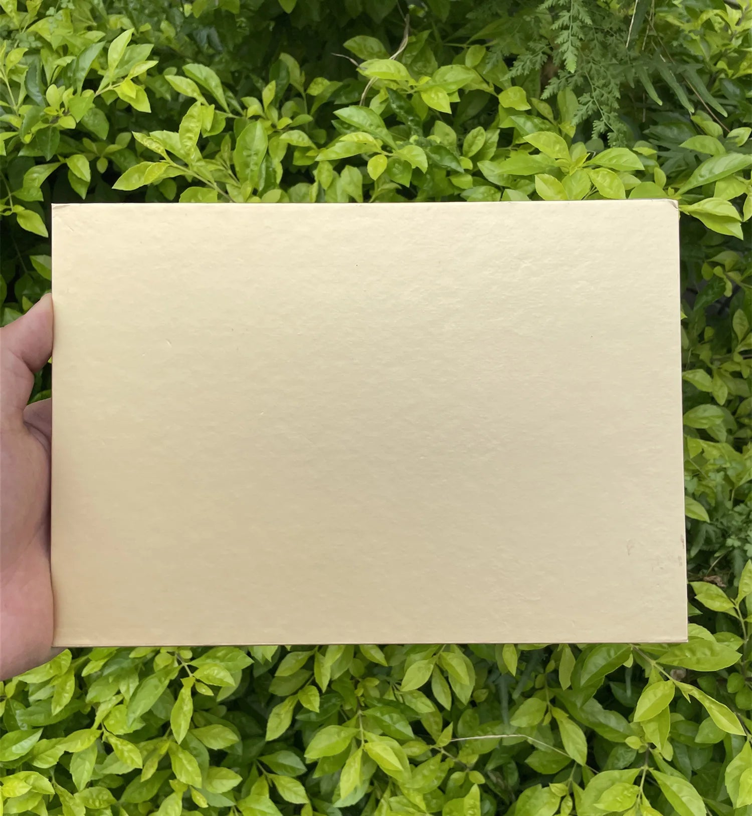 35 color gold eyeshadow palette