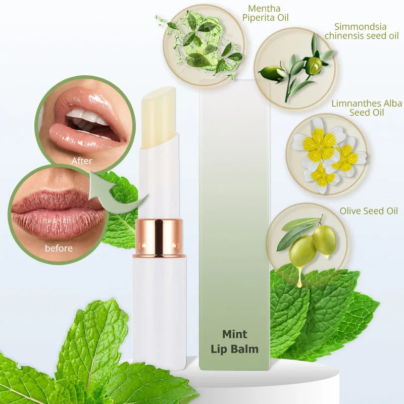 popular 3 fruit flavored rose lip care moisturizing nourishing mint lip balm