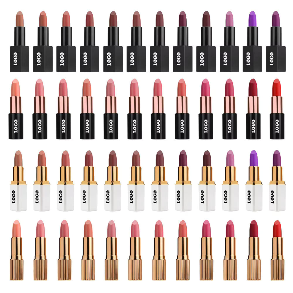 professional cosmetics beauty 24 colors black tube lipstick non-sticky matte finish lipstick