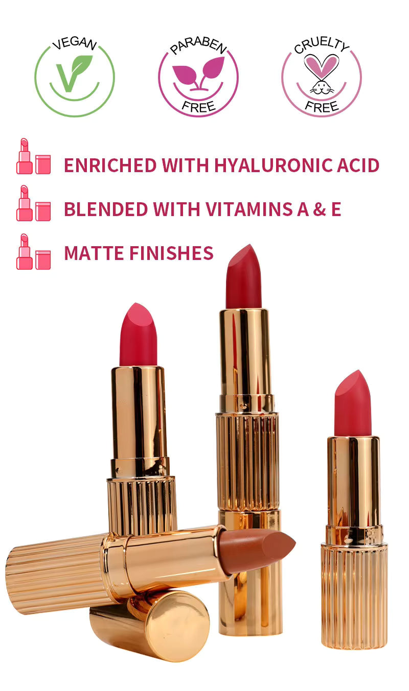 professional cosmetics beauty 24 colors black tube lipstick non-sticky matte finish lipstick