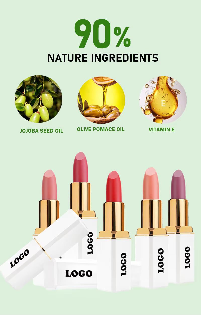 professional cosmetics beauty 24 colors black tube lipstick non-sticky matte finish lipstick